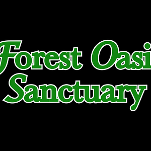 (Optional) Overnight Lodging (1 Night)